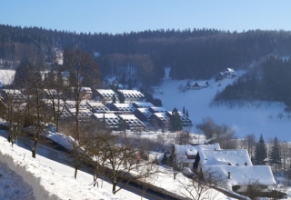 Wohnung-Black-Forest-Nord-4