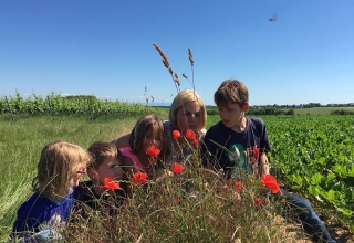 Familien-Auszeit-Holland-5