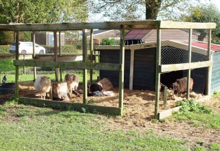 Ferien-Holland-Andijk-6
