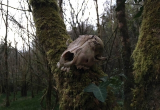 Irland-20