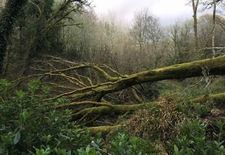 Irland-21