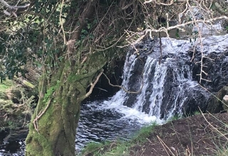 Irland-29