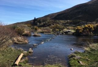 Irland-Reise-10