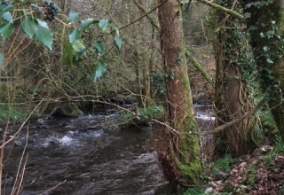 Irland-Reise-16