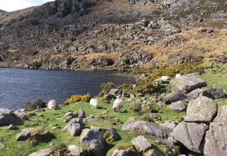 Irland-Reise-26