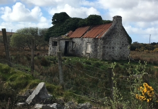 Irland-Reise-8