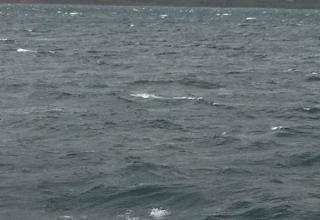 Island-37