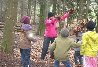 Blaetterdusche-im-Wald