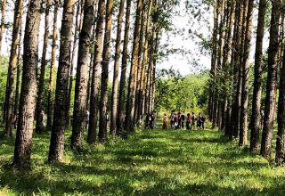 Retreat-Frankreich-31