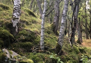 Schottland-Reise-69