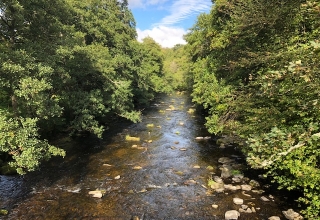 Schottland-Reise-72