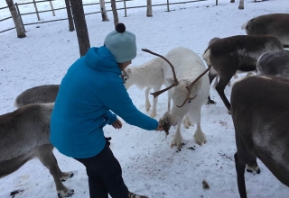 Lappland-Abenteuer-16
