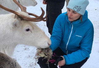 Lappland-Abenteuer-18