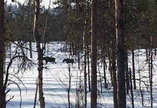 Schweden-20