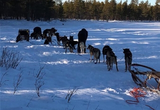 Schweden-2019-27