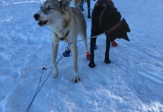 Schweden-2019-29