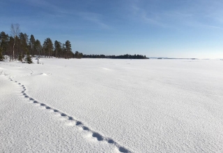 Schweden-30