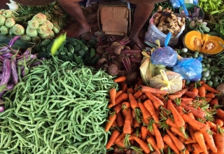 Sri-Lanka-15