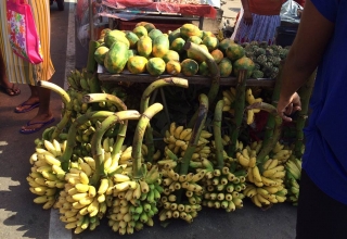 Sri-Lanka-16