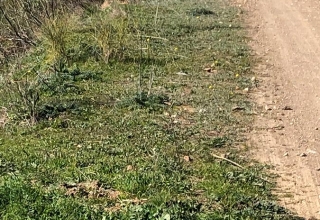 Waldbaden-Andalusien-50