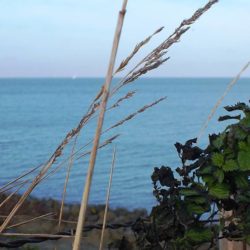 Ijsselmeer Holland Andijk