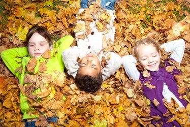 Kursleiter Waldbaden für Kinder & Jugendliche Ausbildung