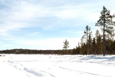 Aufbaumodul „Waldbaden im Winter in Lappland“